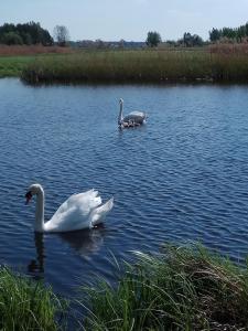 IMG_20200508_144712.jpg