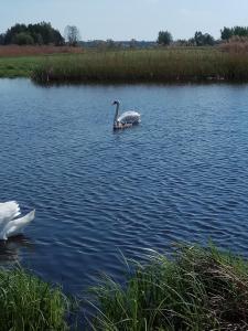 IMG_20200508_144714.jpg