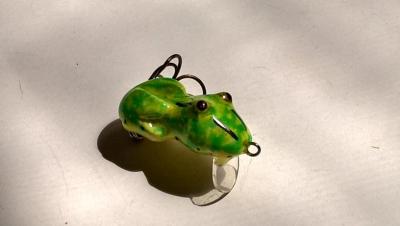 110527581_2020_05.21(1).thumb.jpg.72ab7644444a755caca74c6c726af7be.jpg
