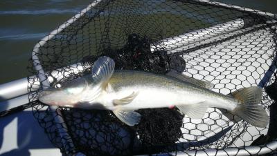 IMG_20200606_091537.jpg