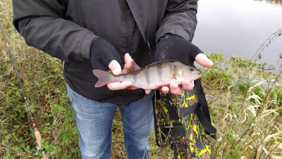 SAVE_20201109_211047.jpeg