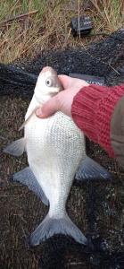 IMG-20210106-WA0013.jpeg