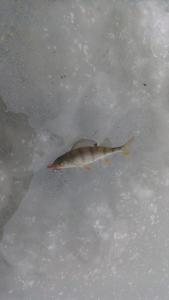 IMG_20210120_123412.jpg