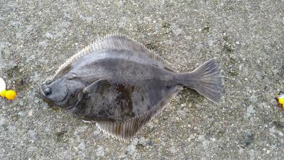 IMG_20210430_084359.jpg