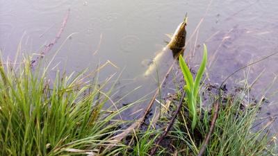 IMG_20210501_065654.jpg
