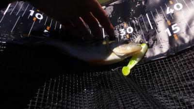IMG_20210510_141043.jpg