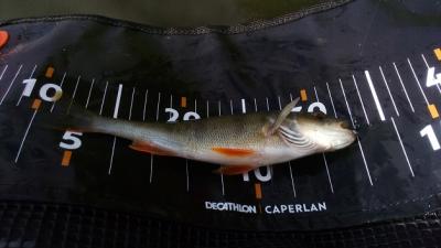 IMG_20210513_173049.jpg