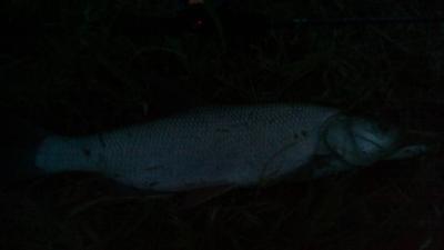 IMG_20210528_211009.jpg