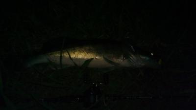 IMG_20210611_214244.jpg