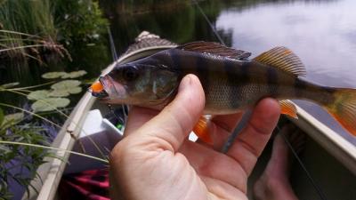 IMG_20210704_124637.jpg