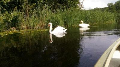 IMG_20210705_135840.jpg