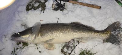 IMG_20211128_161233.jpg