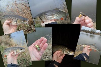 1145921826_2022_03.26Odra.thumb.jpg.75af55e2932b0a9e16ae1ba1767e9110.jpg