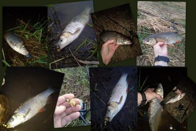 1578644086_2022-03-30Odra.thumb.jpg.15104f0ffdd69f320b62a210ef386809.jpg