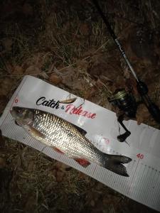 IMG_20220318_203217.thumb.jpg.faefb8b92cc94cb9f5acda1fc94d7659.jpg