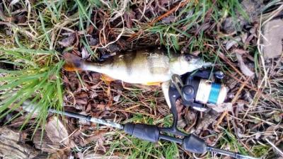IMG_20220325_164435.jpg