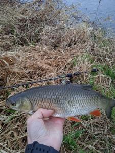IMG_20220331_164722_1.thumb.jpg.379e26d089e21d0a1b54ce5daef73cea.jpg