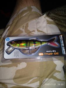 IMG_20210721_190315.jpg