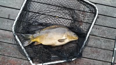 IMG_20220521_055116.jpg