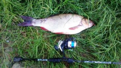 IMG_20220523_194550.jpg