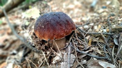 f5b46c84-a91a-41f3-8d79-0a6d8ca4a926.jpg