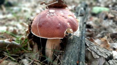 fd0d31ac-d5e0-40ba-b2f0-48aeddd71a63.jpg