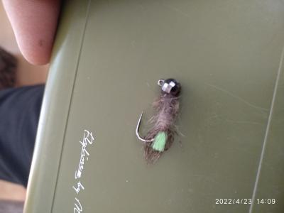 IMG_20220423_140925.jpg