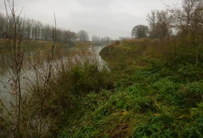 660930652_2014_11.22BrzegD(8).thumb.JPG.e38d9e8ef3a6046d1bd5630d6b36ccb9.JPG