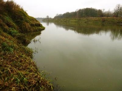 724065252_2014_11.22Odra-Brzegd.thumb.JPG.101feef11496789dd74836c1fea8d5f9.JPG