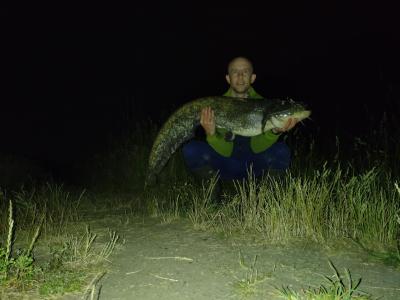 DSC_1803.JPG