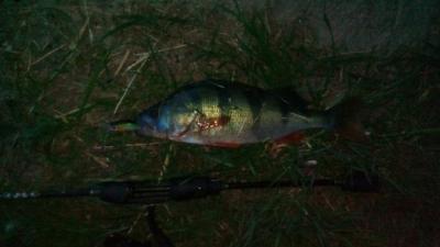 IMG_20230614_211205.jpg