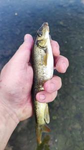 IMG_20230618_184233.jpg