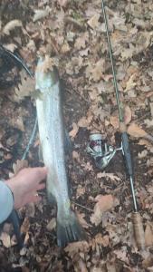IMG_20230619_104520.jpg