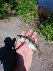 received_640417710938301.jpeg