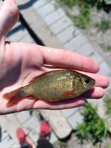 IMG_20230708_145257.jpg