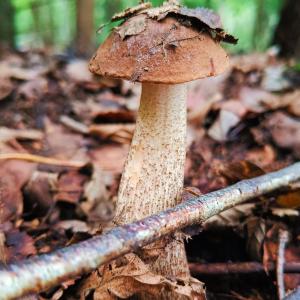 IMG_20230903_184424.jpg
