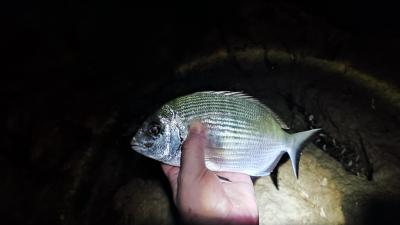 IMG_20230904_214422.jpg