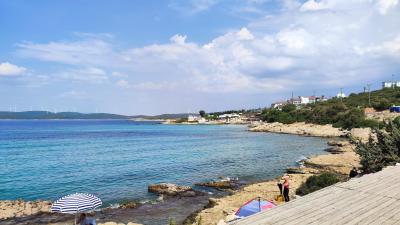 IMG_20230905_121153.jpg