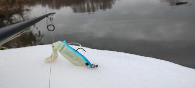 IMG_20231210_124049581.thumb.jpg.55c5354509a6559f614f57827ae143fb.jpg