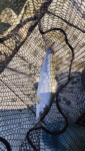 IMG_20231230_124642.jpg