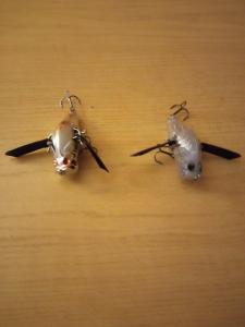 IMG_20240131_164843.jpg