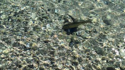 IMG-20240706-WA0025.jpg