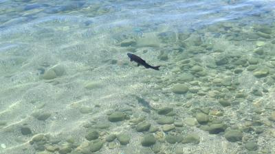 IMG-20240706-WA0026.jpg