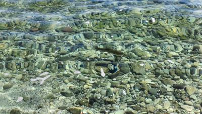 IMG-20240706-WA0027.jpg