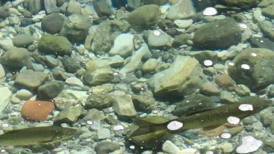 IMG-20240706-WA0028.jpg