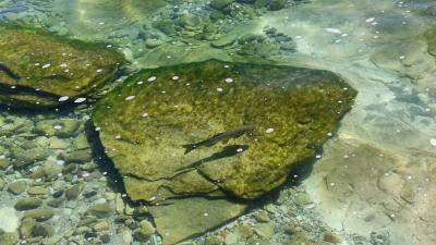 IMG-20240706-WA0029.jpg