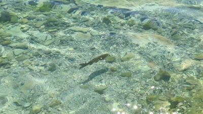 IMG-20240706-WA0037.jpg