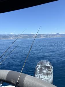 IMG_0327.jpeg