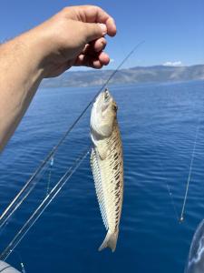 IMG_0340.jpeg