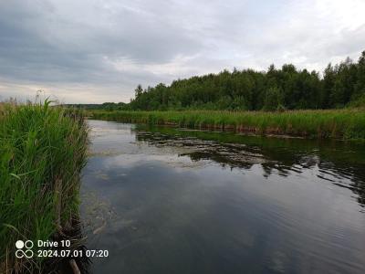 IMG_20240701_072022_277.jpg